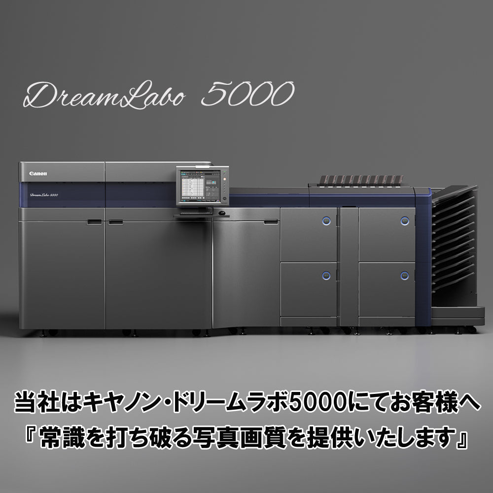 木製ムクフレーム【L】Z13/8×10 プレゼント 記念品 写真立て – 縁の